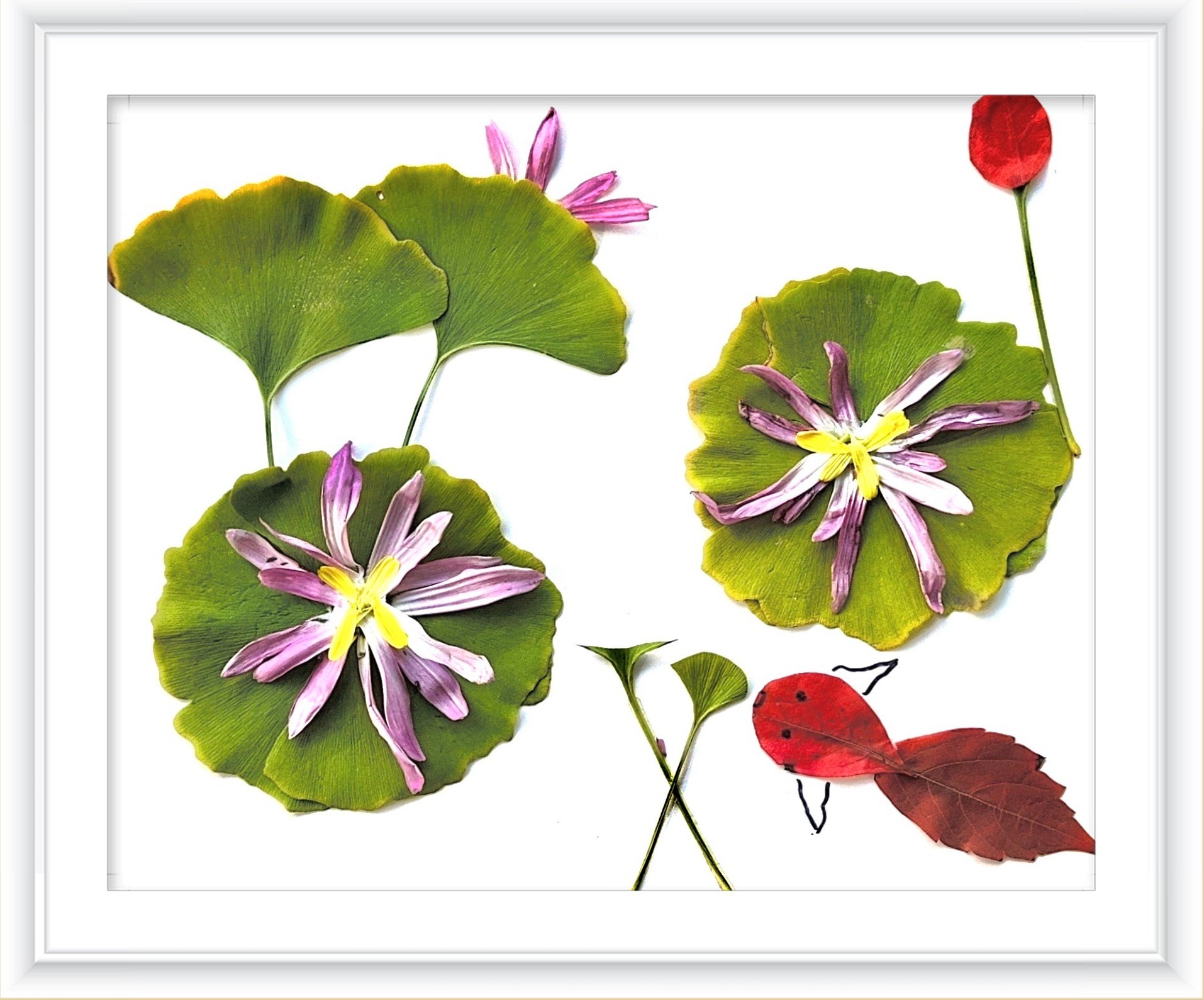 《一路清莲》作者：张颖蕊_副本.jpg